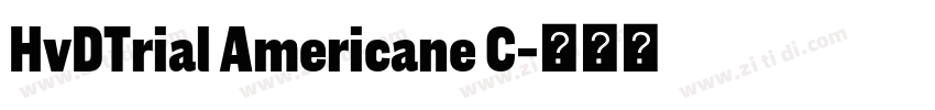 HvDTrial Americane C字体转换